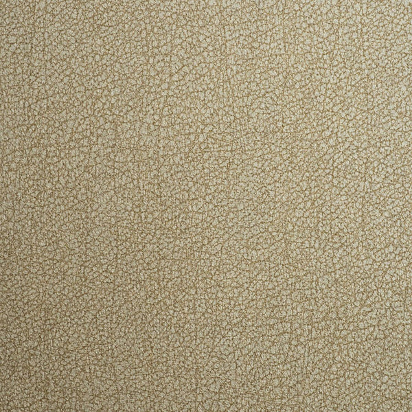 Color 8