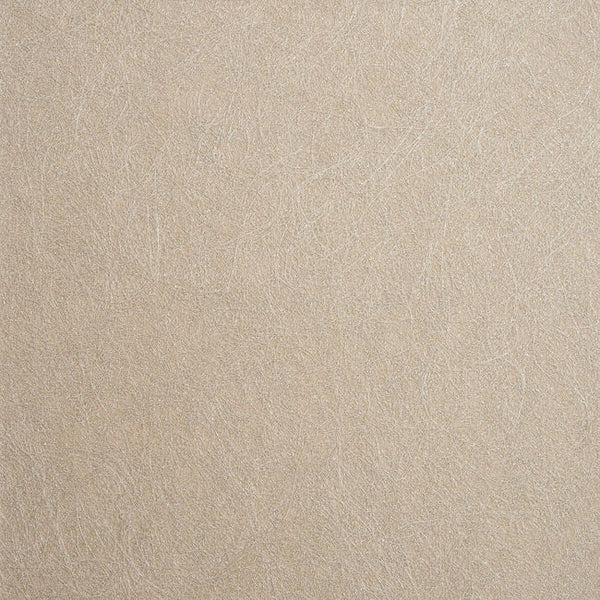 Color 4