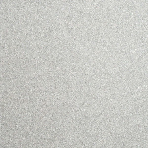 Color 5