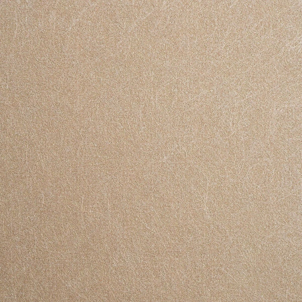 Color 7