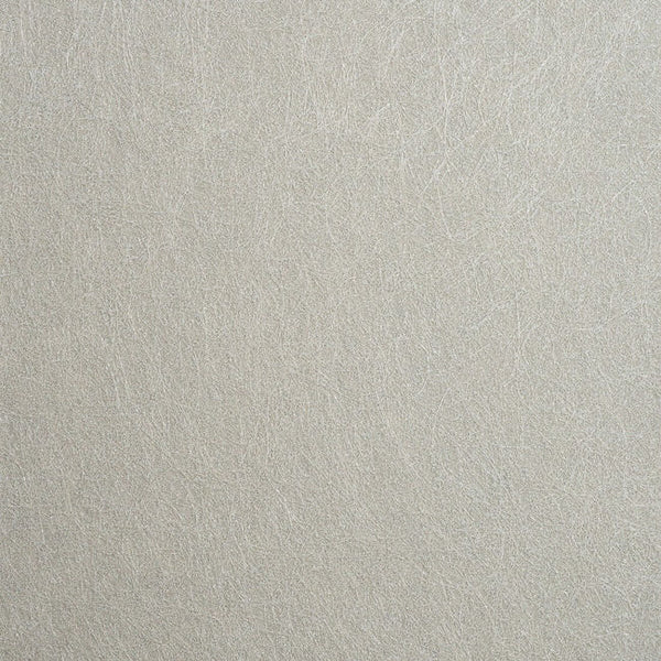 Color 8