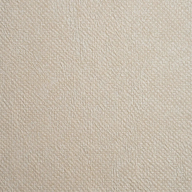 color-4_mirabel