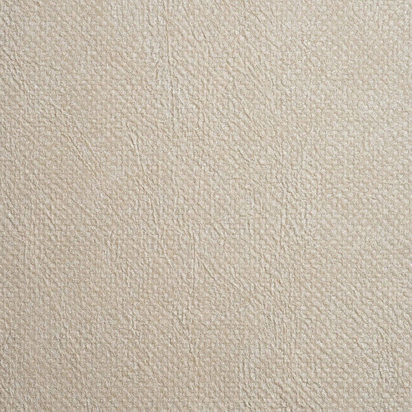 Color 4
