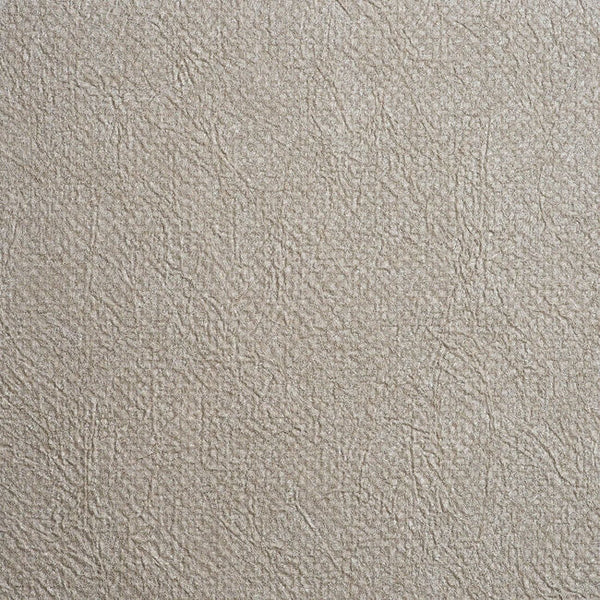 Color 7
