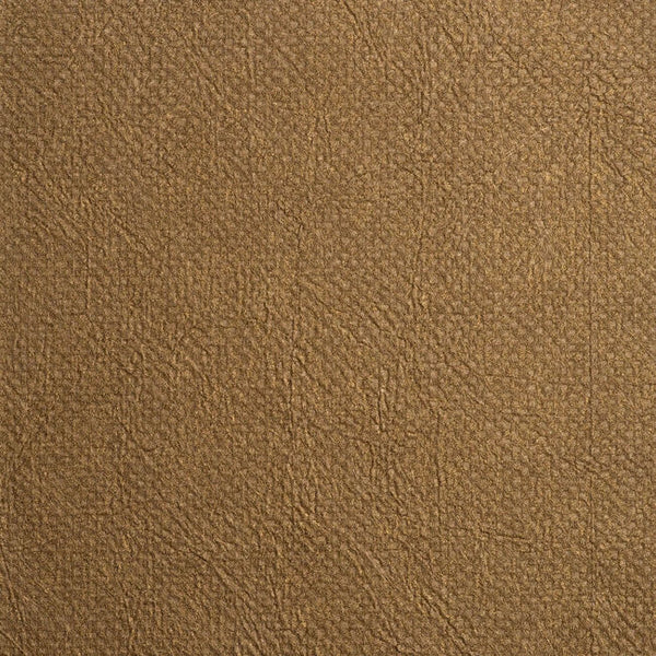 Color 8