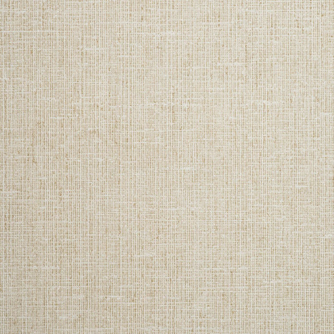 color-8_lino-contract