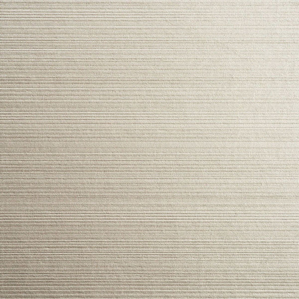 Color 8