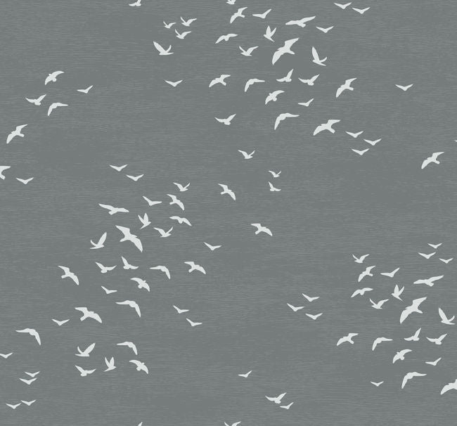 grays-1_bird-silhouettes