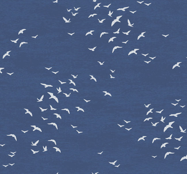 navys-1_bird-silhouettes
