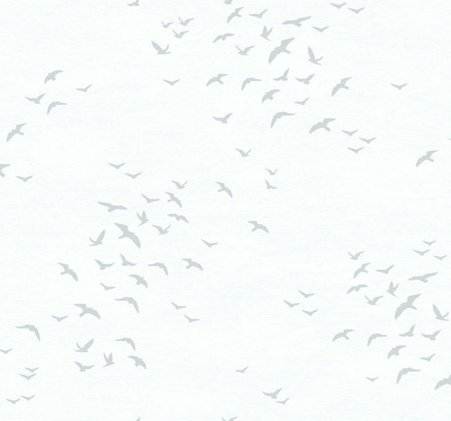 grays-2_bird-silhouettes