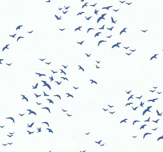 navys-2_bird-silhouettes