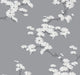 Grays 2