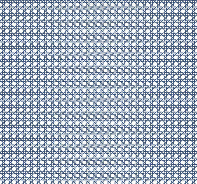 navys_wicker-screen-print-with-raised-inks