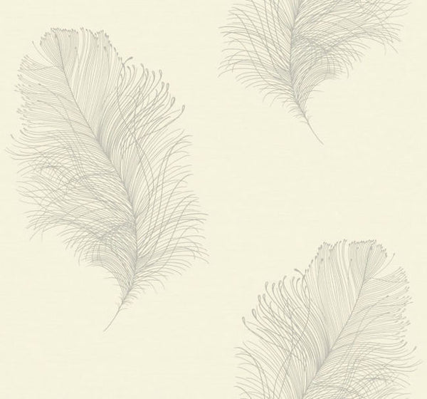 light-grey_galloway-light-grey