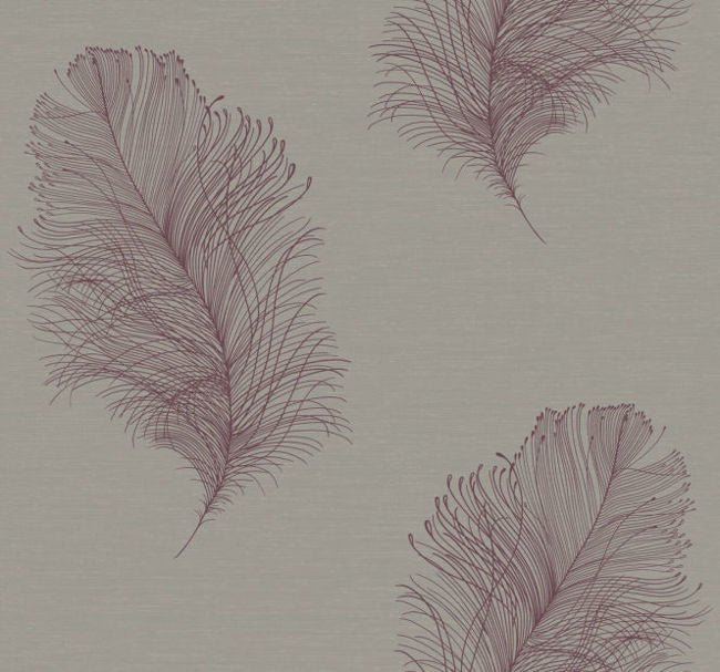plum_galloway-plum