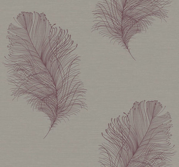 plum_galloway-plum