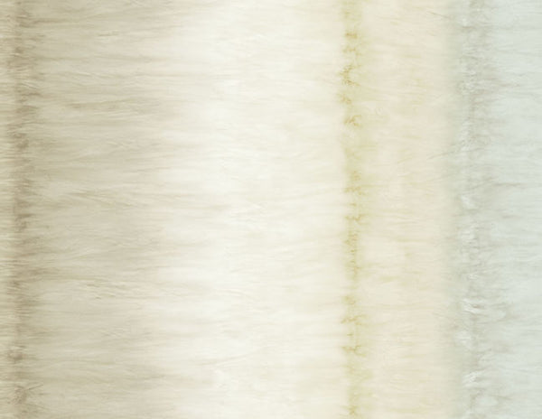 Warm Neutrals & Beiges