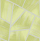Greens