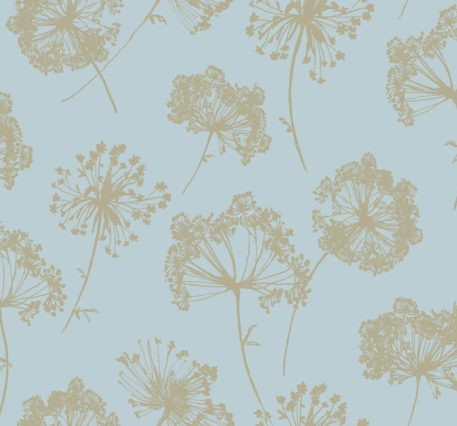 blues_ladies-lace