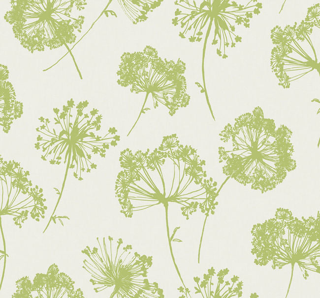 greens_ladies-lace