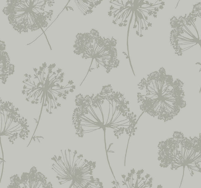 grays_ladies-lace
