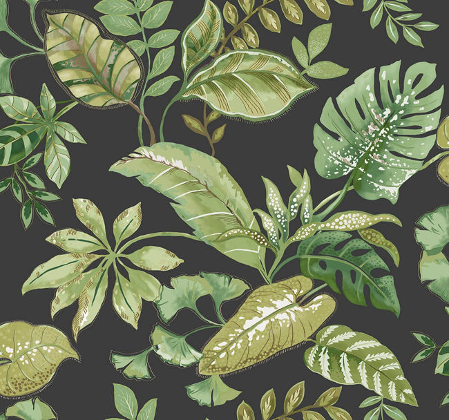 blacks_tropical-leaf-daisy-bennett
