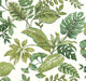 Greens