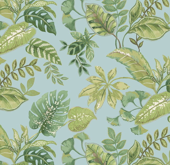 blues_tropical-leaf-daisy-bennett