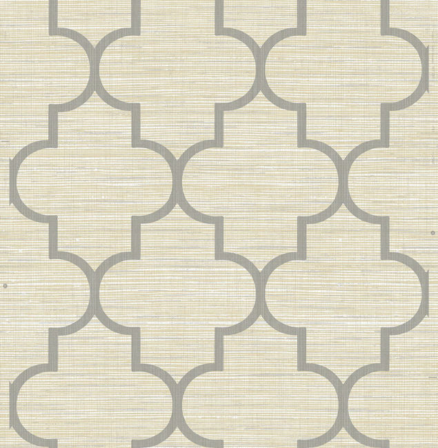 Natural Texture Parque in Warm Neutrals & Beiges 1