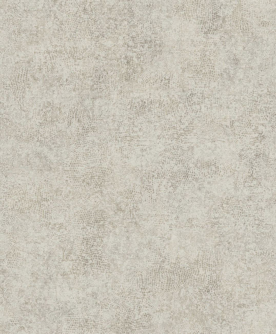 silver-skin_studio-snakeskin