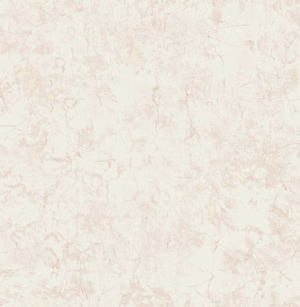 Champagne Shimmer and Light Gray