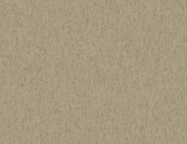 browns-taupes-2_cork-texture-54-in