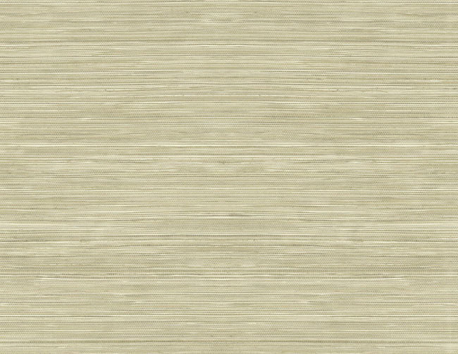 warm-neutrals-beiges-2_grasscloth-texture-54-in