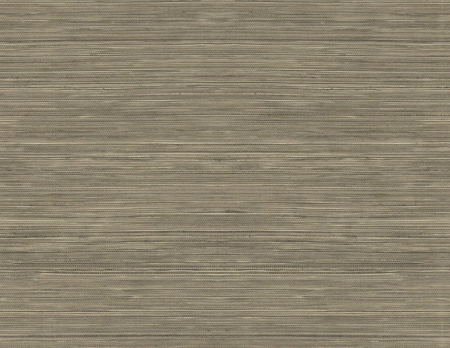 browns-taupes-2_grasscloth-texture-54-in