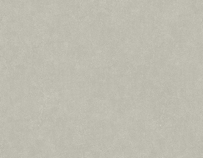 flint_shagreen-questex