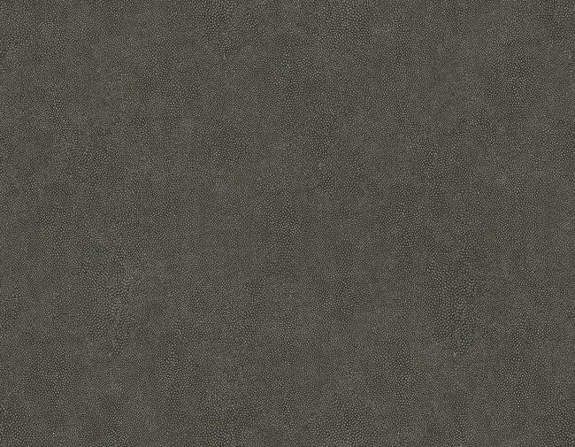 carob_shagreen-questex