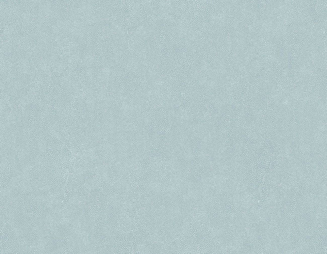 morning-mist_shagreen-questex