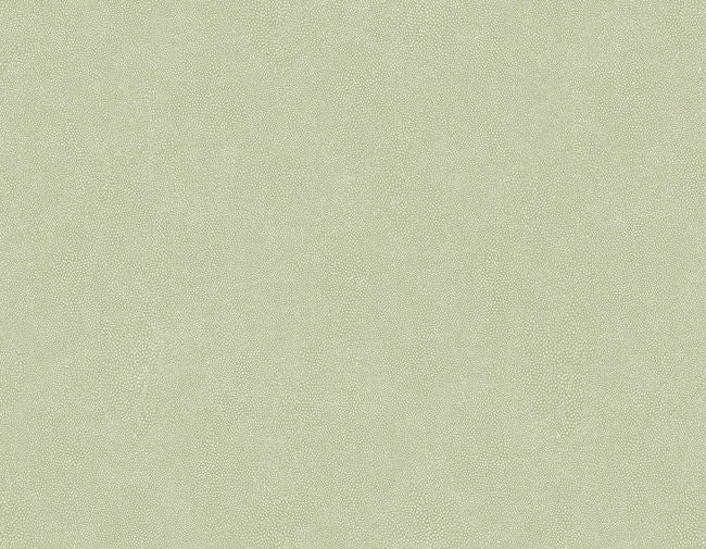 melon_shagreen-questex