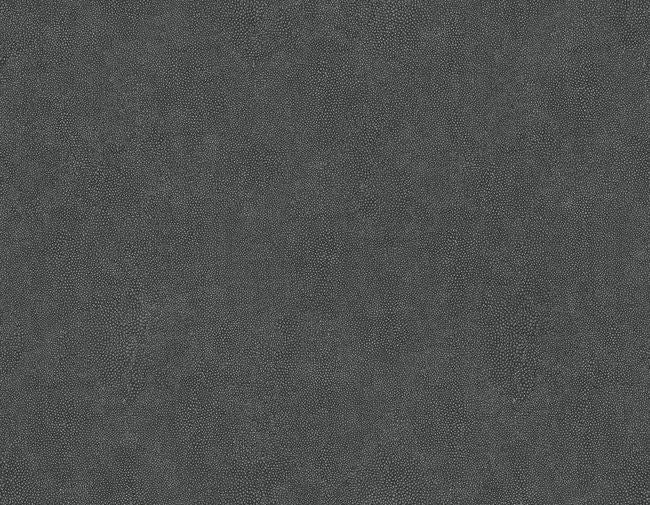 shadow_shagreen-questex