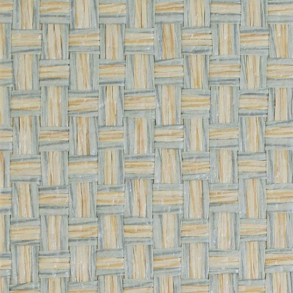 Cool Neutrals 1