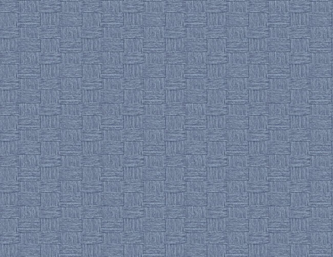 Seagrass Weave in Carolina Blue