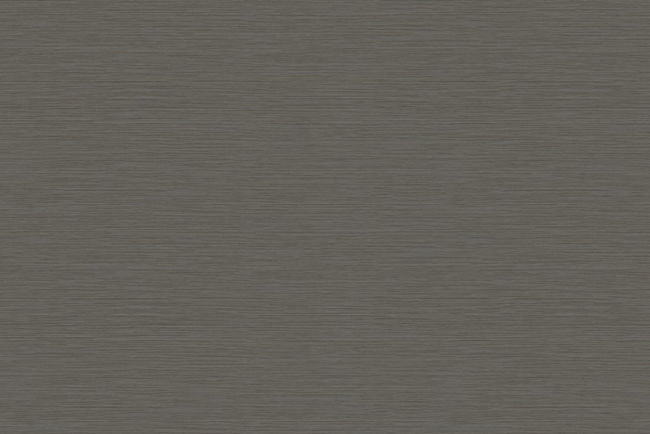 shiitake_bazaar-plain