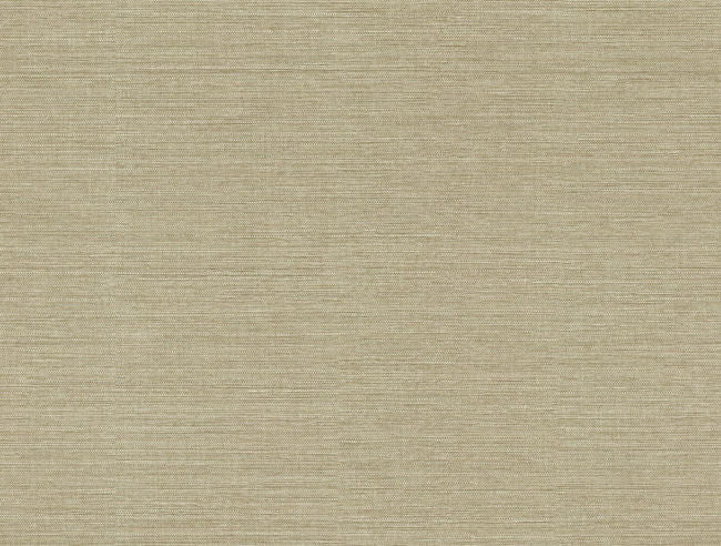 shadow-taupe_mariner