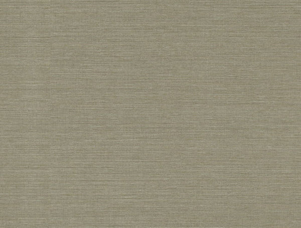 Pewter Shades