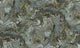 Color 01