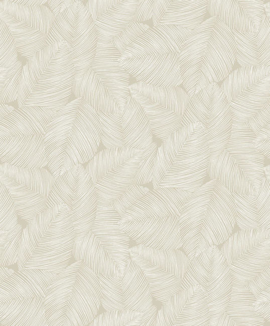 Wheat
