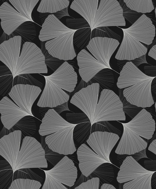 Keilani in Carbon