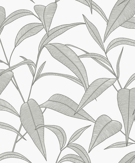 sliver-leaf_cordila