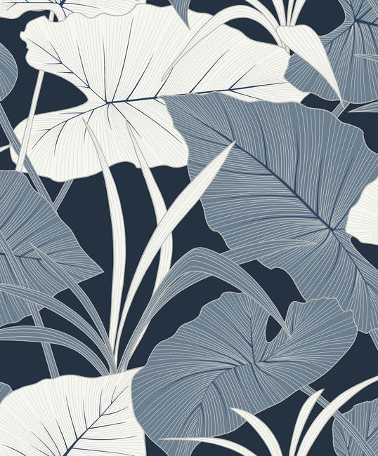 oceanic_antilles