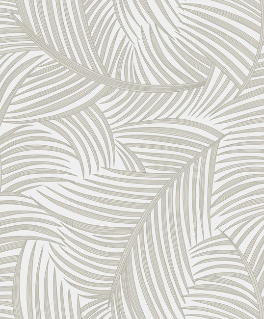 Sweet Beige